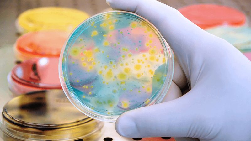 揭秘生物医药生产厂家排名背后的考量因素