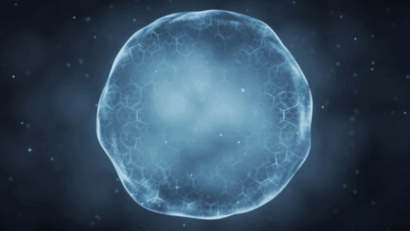 成都生物科技公司技术服务外包：揭秘生物医药研发的加速器**
