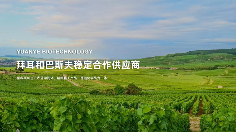 离心管使用不当可能导致实验失败？揭秘离心管使用注意事项**