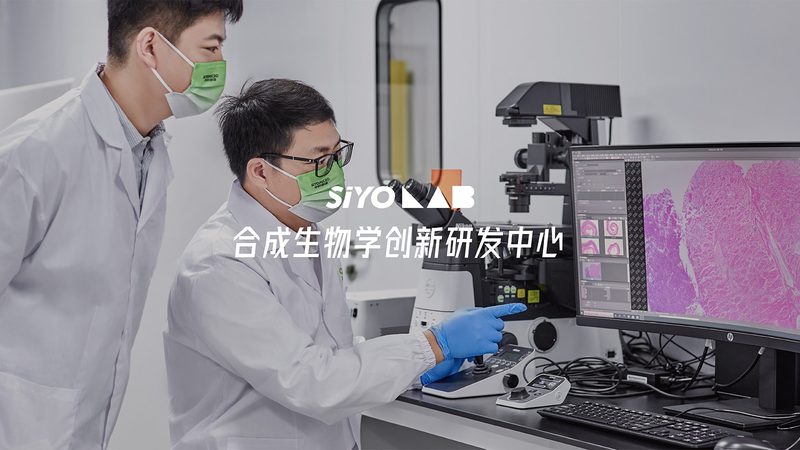 CRo平台价格对比：揭秘医药研发背后的成本考量