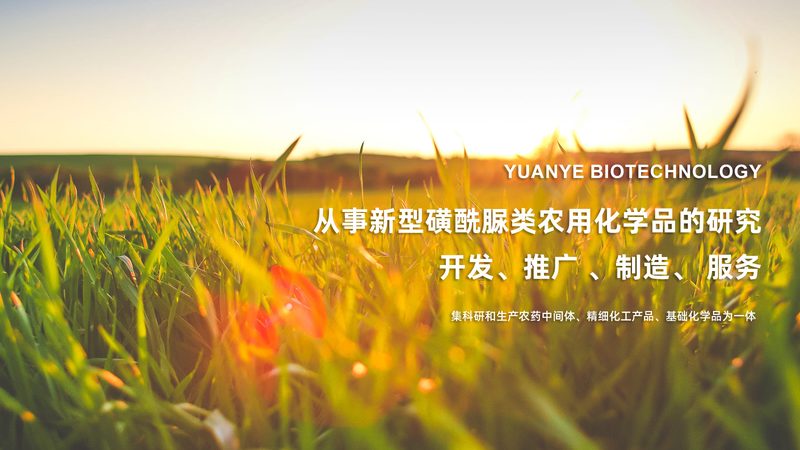 cro代理加盟背后的成功秘诀：案例分析解码