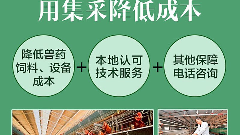 生物药CDMO收费标准：揭秘背后的关键因素