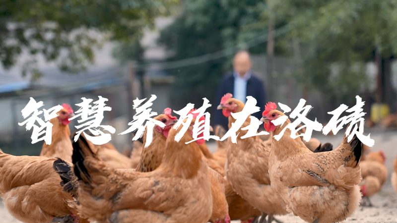 上海生物科技公司质量体系标准：构建生物医药的坚实基石