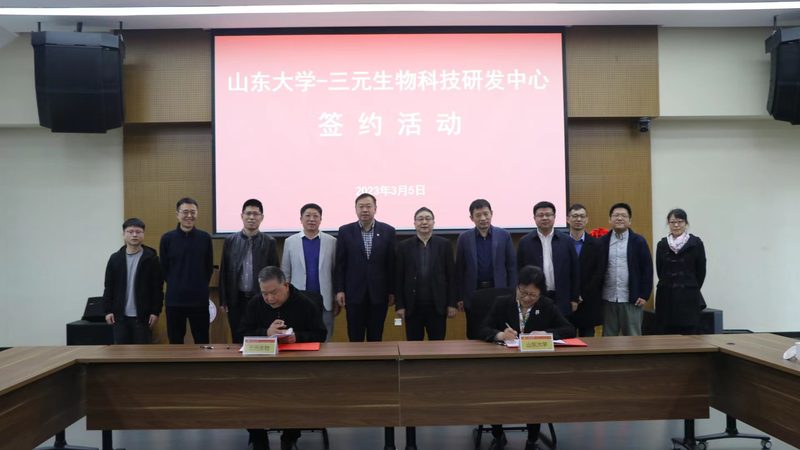 CDMO工艺流程：揭秘制药生产的幕后英雄
