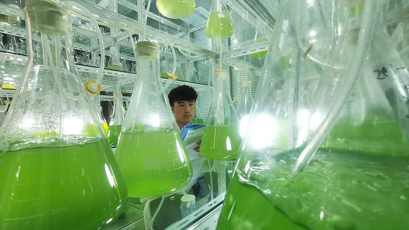 CHO细胞培养基规格参数解析：揭秘高效细胞培养的关键**